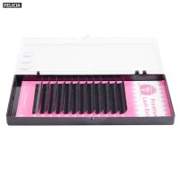 Sable eyelash extension wholesale Private lable manufacture-176